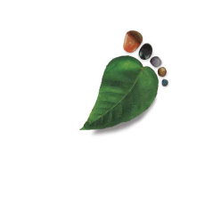 Parque Arvi