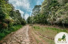 Sendero-Camino-de-la-Cuesta