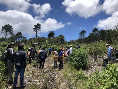 Socializaci&oacute;n Plan Integral de Manejo Forestal y Plan de Manejo Arqueol&oacute;gico